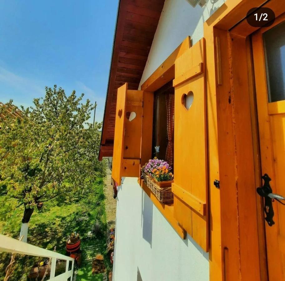 Kuca Za Odmor "Dva Srca" Hotel Ceminac Екстериор снимка