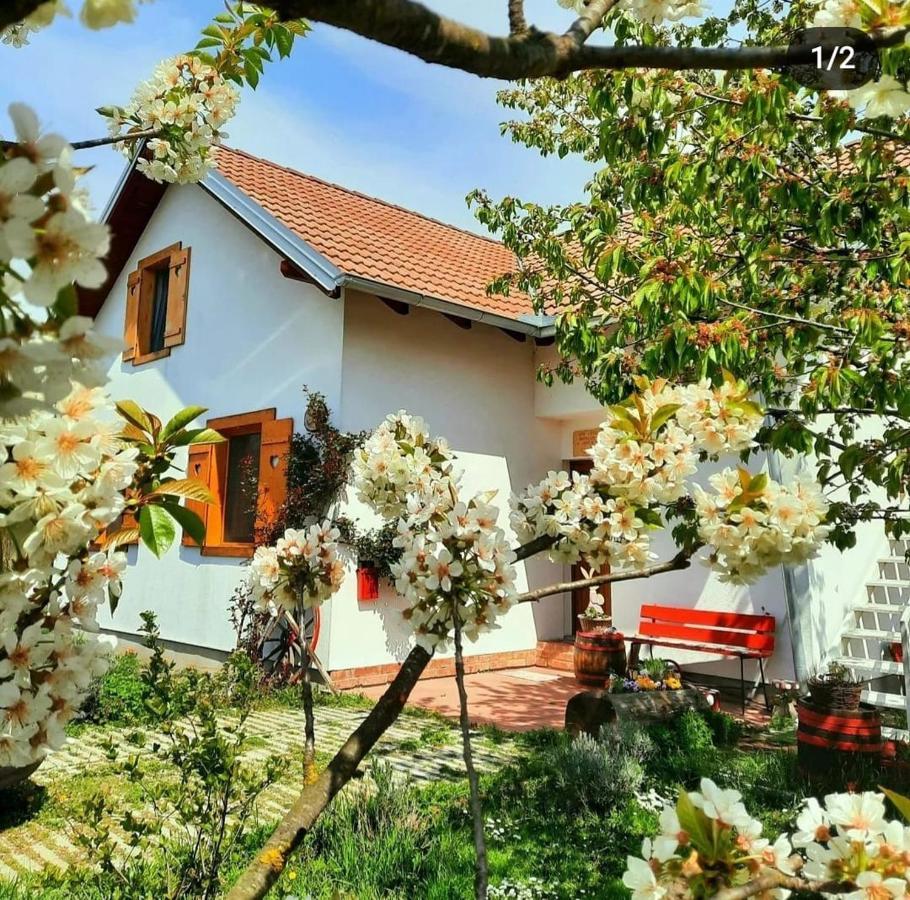 Kuca Za Odmor "Dva Srca" Hotel Ceminac Екстериор снимка