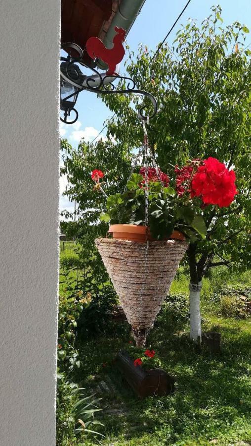 Kuca Za Odmor "Dva Srca" Hotel Ceminac Екстериор снимка
