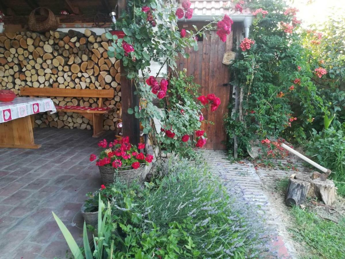 Kuca Za Odmor "Dva Srca" Hotel Ceminac Екстериор снимка